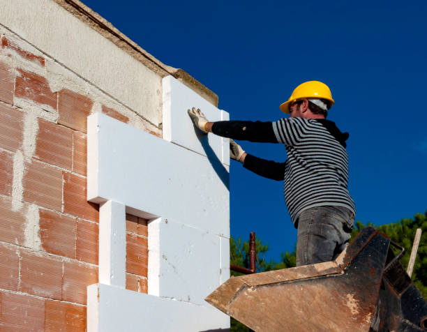 Best Cellulose Insulation in Winthrop, IA