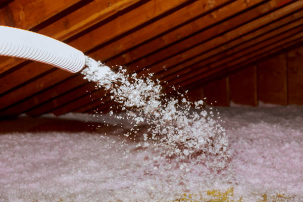 Best Insulation Maintenance and Repair in Winthrop, IA