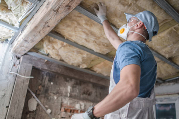 Best Residential Insulation in Winthrop, IA