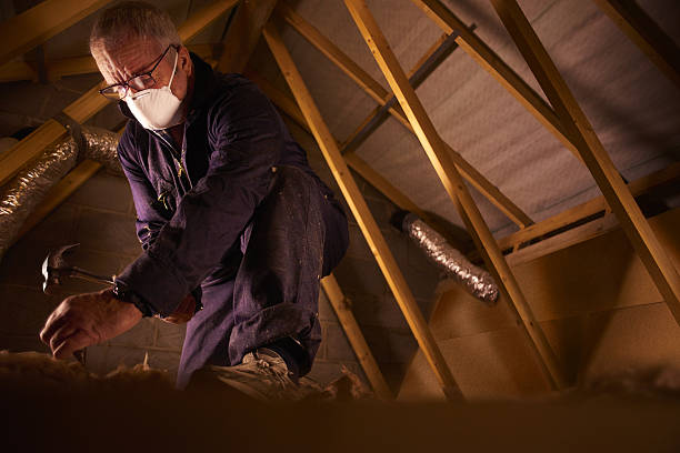 Best Commercial Insulation in Winthrop, IA