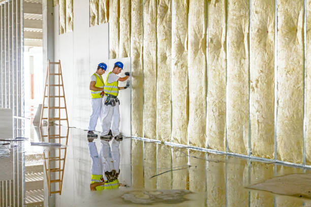 Best Energy Efficiency Insulation in Winthrop, IA